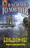 «Большой лес. Многомерность» - Василий Головачев
