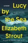 «Lucy by the sea (Люси у моря)» - Элизабет Страут