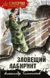 «Зловещий лабиринт» - Александр Тамоников
