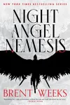 «Night angel nemesis (Ночной ангел немезида)»