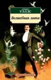 «Волшебная лавка»