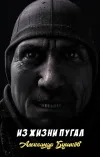 «Из жизни пугал»