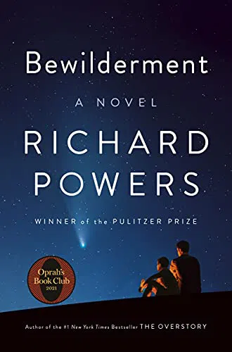 Обложка Bewilderment (Недоумение)