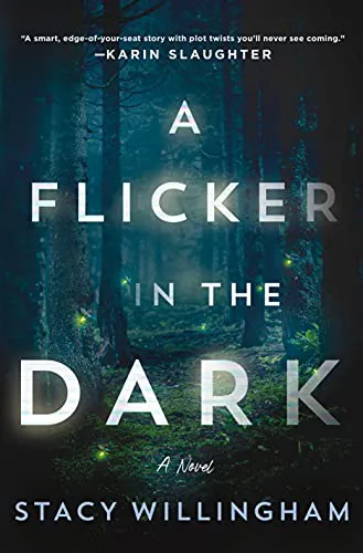 Обложка A flicker in the dark (Мерцание в темноте)