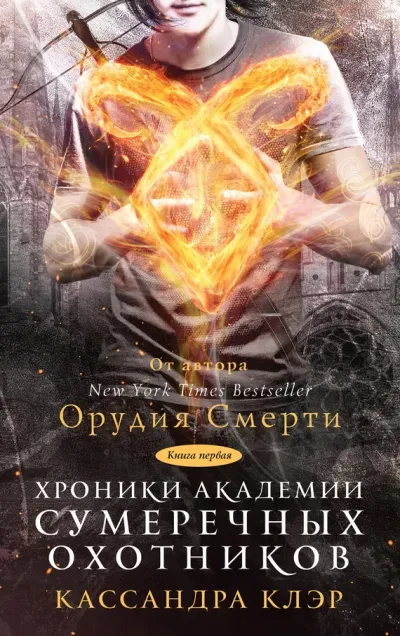 Хроники Академии Сумеречных охотников.