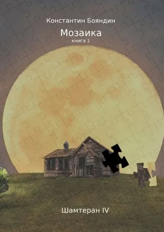 Мозаика