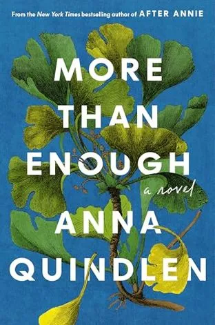 Обложка More than enough (Больше, чем достаточно)