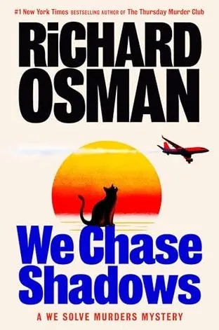 Обложка We chase shadows (Мы преследуем тени)
