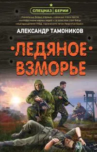 Подробнее о Ледяное взморье