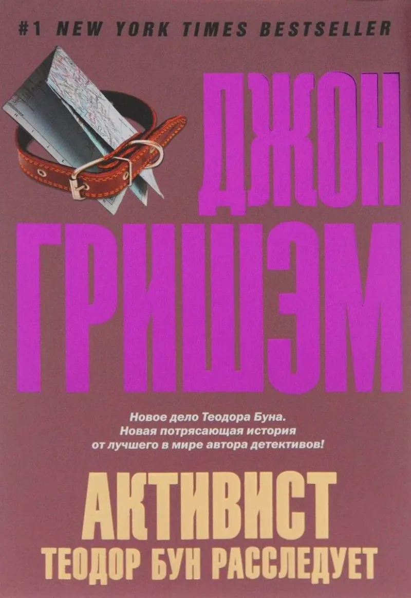 Активист. Теодор Бун расследует Джон Гришэм