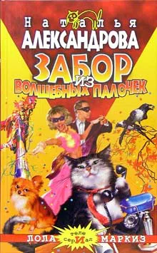 Забор из волшебных палочек Наталья Александрова
