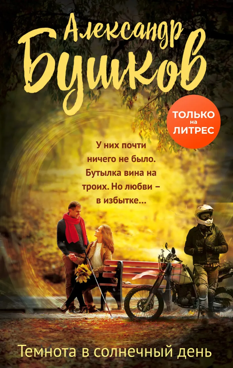 Темнота в солнечный день Александр Бушков