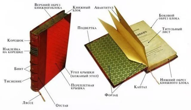 Изображение к статье Устройство книги