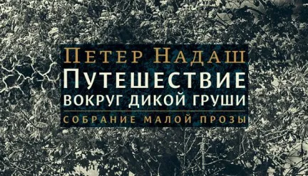 Изображение к статье Премия 