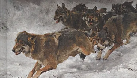 Любите приключения? Для вас пятерка книг наполненных ветрами приключений.