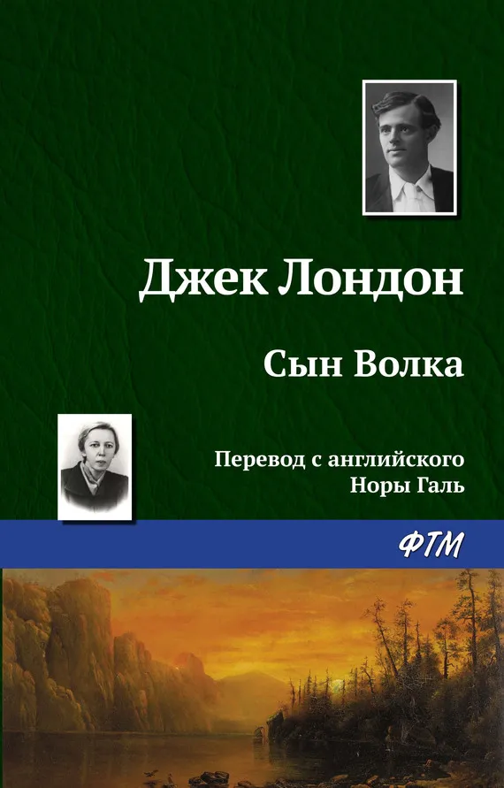 Подробнее о Сын Волка