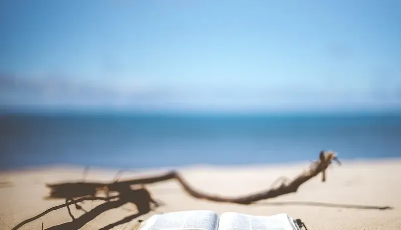 Подборка детективов, которая развлечет вас во время летнего отдыха