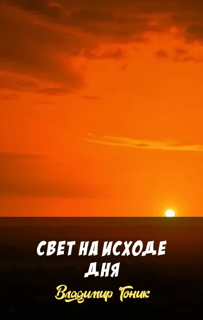 Свет на исходе дня Владимир Гоник