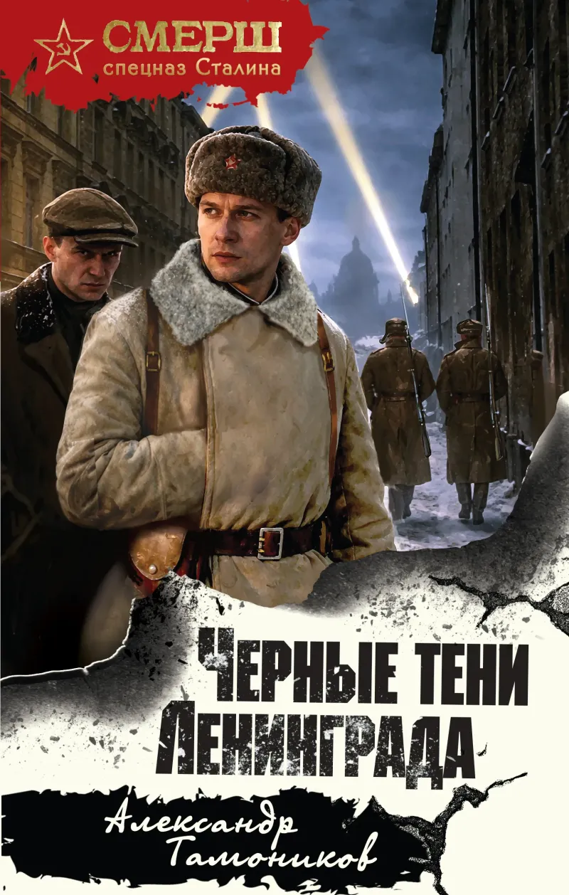 Черные тени Ленинграда — Александр Тамоников