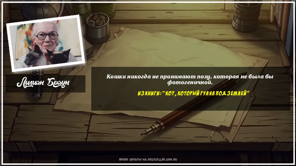 Картинка с цитатой - 'Кошки никогда не принимают позу,...'