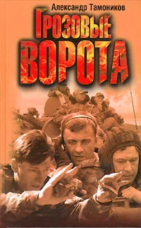 Грозовые ворота Александр Тамоников