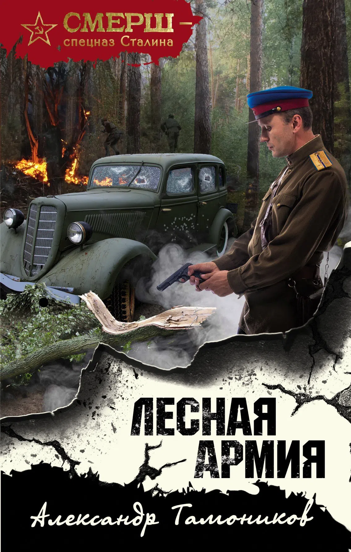 Лесная армия Александр Тамоников