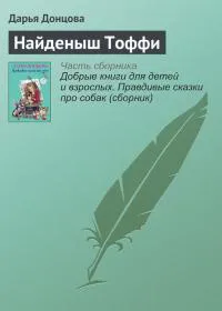 Найденыш Тоффи Дарья Донцова