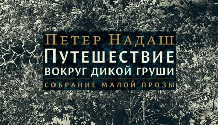 Премия "Ясная Поляна" объявила короткий список в номинации "Иностранная литература"