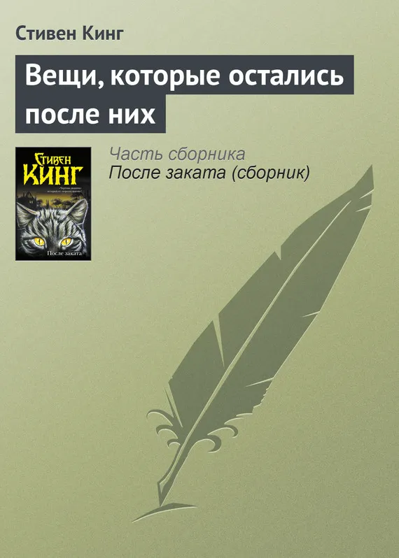 Вещи, которые остались после них Стивен Кинг