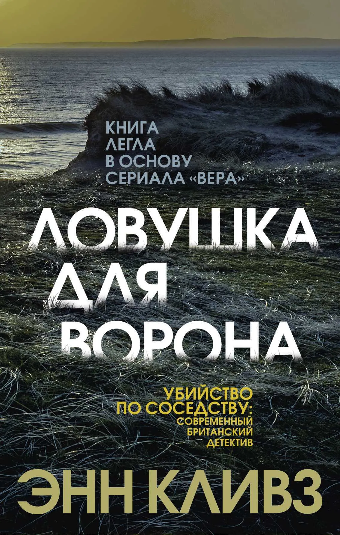 📚 Серия книг - «Вера Стенхоуп» - Энн Кливз полный список книг по порядку