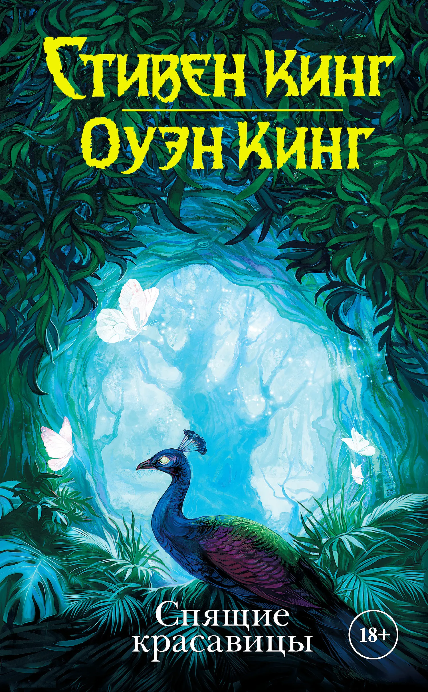 Спящие красавицы Стивен Кинг