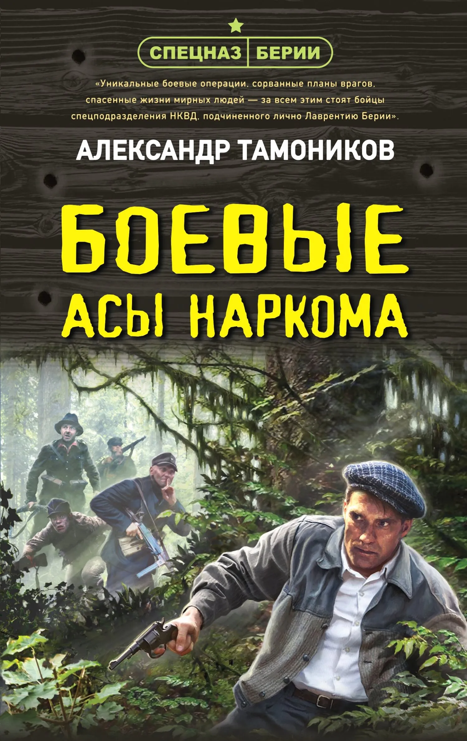 Подробнее о Боевые асы наркома