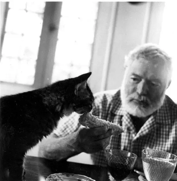 Хемингуэй и кот. Источник: библиотека Кенеди