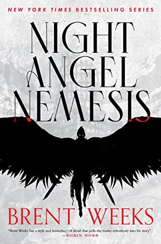 Night angel nemesis (Ночной ангел немезида) Брент Уикс