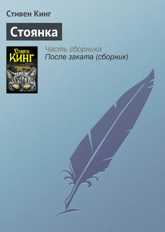 Стоянка Стивен Кинг