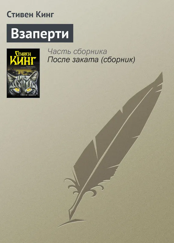 Взаперти Стивен Кинг