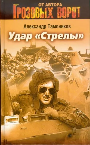 Удар «Стрелы» Александр Тамоников