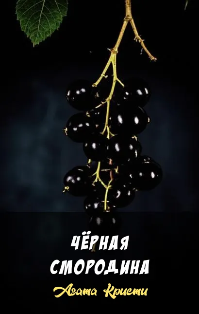 Чёрная смородина Агата Кристи